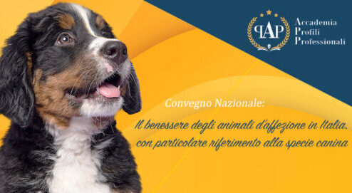 CONVEGNO NAZIONALE