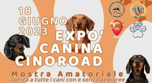 EXPO AMATORIALE