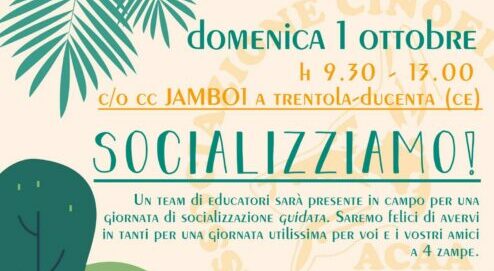 SOCIALIZZIAMO!